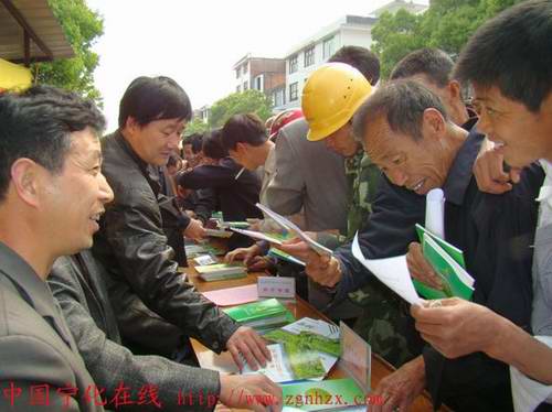 市縣農業科技服務隊為農民送“及時雨”