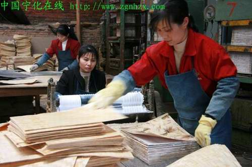 寧化林產工業實現首季“開門紅”