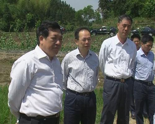 省農業廳廳長陳紹軍來寧化調研農業工作