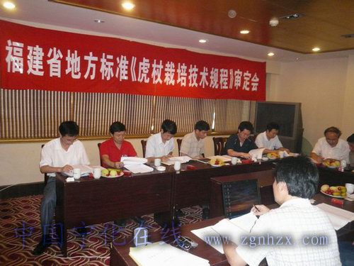 《虎杖栽培技術規程》通過省地方標準審定