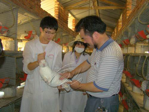 鑫鑫獺兔：校企合作達“雙贏”