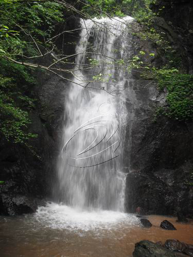 南山•瀑布•溫泉  休閑好去處