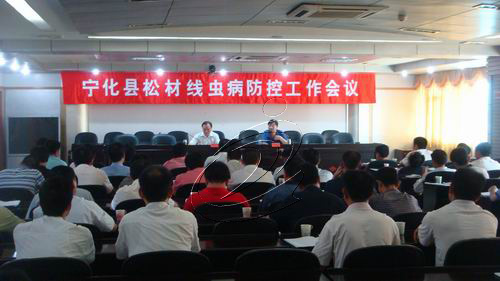 寧化嚴防松材線蟲入侵