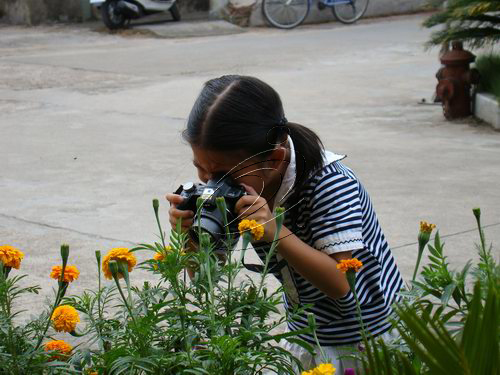 寧化“我寫、我拍、我畫”評(píng)選結(jié)果揭曉