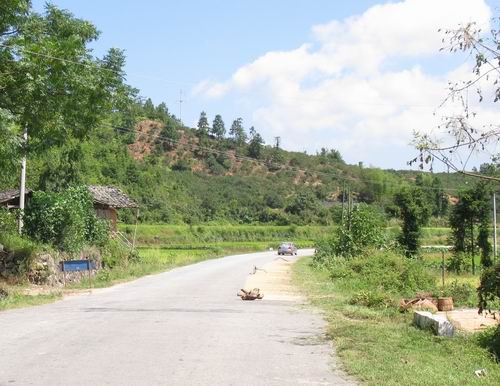 公路上打場曬糧　違規又危險