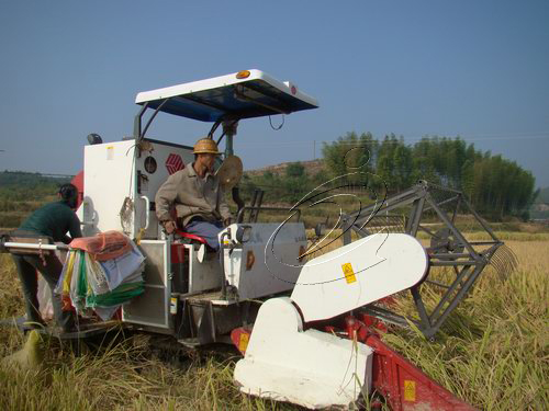 寧化農(nóng)業(yè)155服務(wù)中心成了農(nóng)民致富好幫手