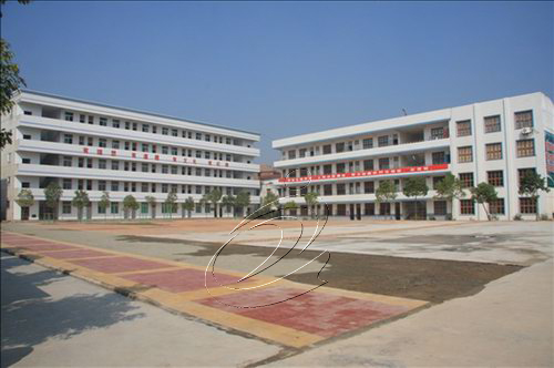 一所農(nóng)村中學(xué)的崛起