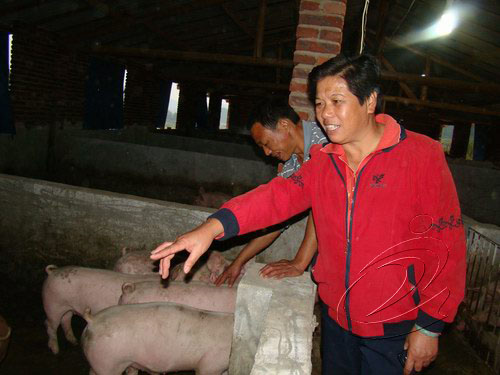 曹麗華：滑石村的好當家