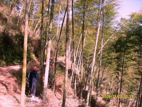 “二女戶”陳金和的幸福生活