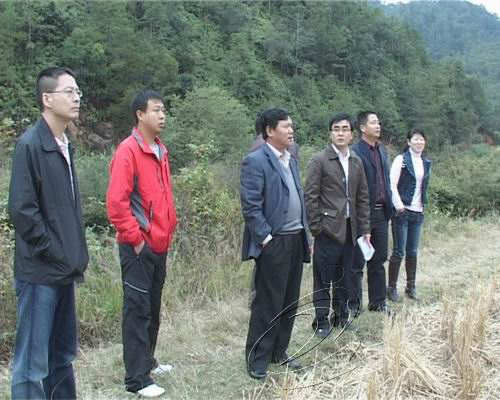 新加坡客商考察寧化湖村蛟龍溪