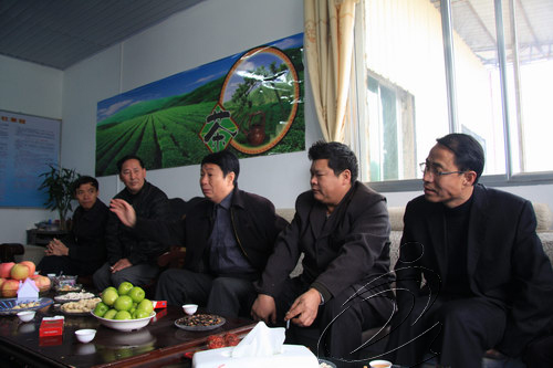 寧化翠云山茶葉專業合作社掛牌成立