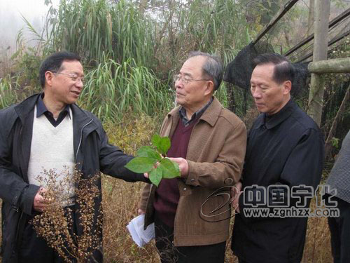 省老科協(xié)領(lǐng)導(dǎo)來寧化調(diào)研