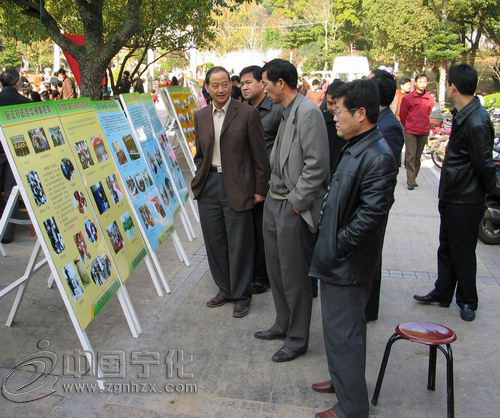 寧化婦聯“12•4”法制宣傳日活動豐富多彩