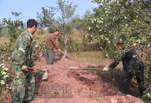 淮土茶油申報國家地理標志產品保護通過審查