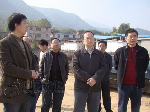 縣委書記陳忠杰到湖村鎮鄧坊村聯系點調研