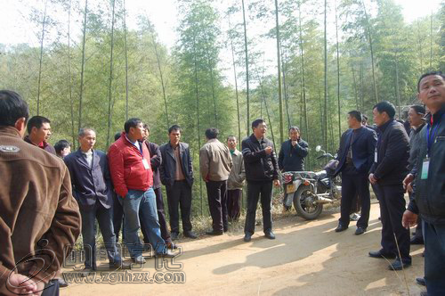 安樂鄉(xiāng)黃莊村200余竹農(nóng)遠(yuǎn)赴湖南四川種毛竹