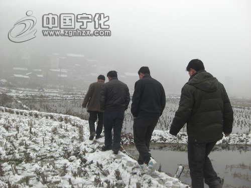 河龍鄉昨降大雪　　諸措施積極應對