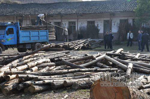 寧化全面清理整頓伐區集材堆頭