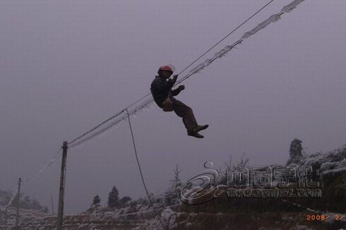 文明單位創建風采②：電信局甘為地方建設作奉獻