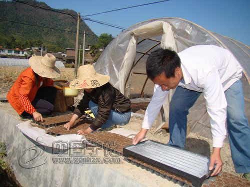 從煙田“走”出的“農民發明家”