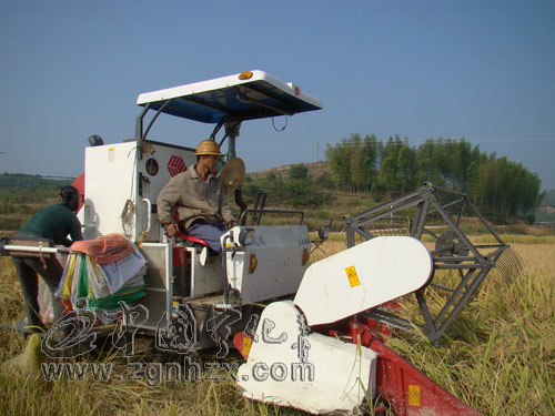 寧化再度蟬聯(lián)“全國(guó)糧食生產(chǎn)先進(jìn)縣”
