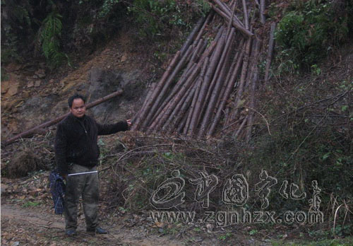 泉上鎮一夫妻盜竊木材被行政拘留