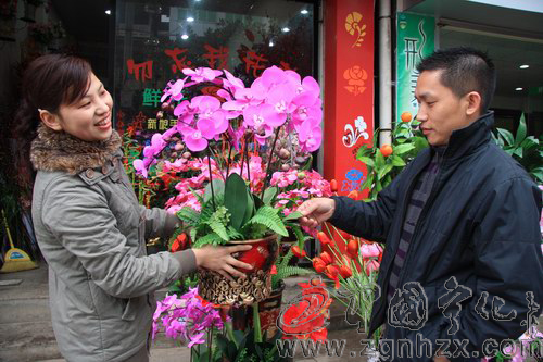 虎年春節臨近 翠城年味漸濃