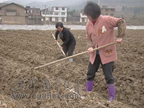 寧化春早人勤農事忙