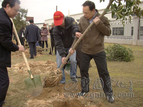 為工業園區添綠　寧化縣領導參加義務植樹