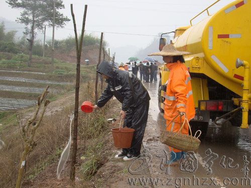 寧化30余網友為“綠色長廊”添新綠