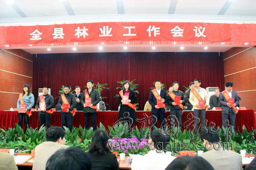 寧化林業(yè)工作會(huì)議召開