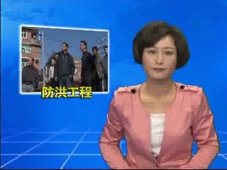 我縣兩個(gè)防洪工程通過省專家組竣工驗(yàn)收