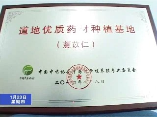 寧化薏米基地獲評(píng)“道地優(yōu)質(zhì)藥材種植基地”