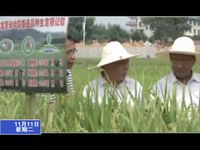 我縣前三季度經濟穩步增長