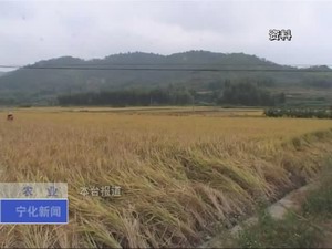 我縣出臺加快農業現代化發展實施意見