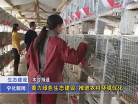 著力綠色生態建設  推進農村環境優化