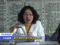 黃芳調研羅家村黨支部工作