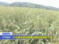 寧化薏米獲批國家地理標志保護產品