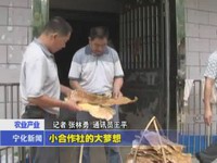 小合作社的大夢想