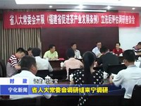 省人大常委會調研組來寧調研