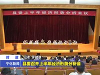 縣委召開上半年經濟形勢分析會