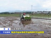 我縣農(nóng)業(yè)從傳統(tǒng)農(nóng)業(yè)向現(xiàn)代農(nóng)業(yè)轉(zhuǎn)變