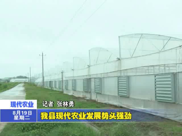 我縣現代農業發展勢頭強勁