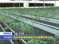 我縣不斷加快推進農業發展轉型升級