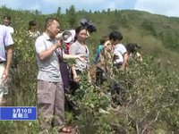 省“專家快車農村行”寧化傳授油茶種植經