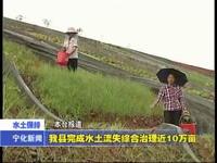 我縣完成水土流失綜合治理近10萬畝