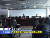 打擊盜砍濫伐林木 保護(hù)森林資源