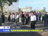 縣政府現場推進美麗鄉村建設等工作