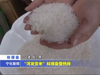 “河龍貢米”林博會受熱捧