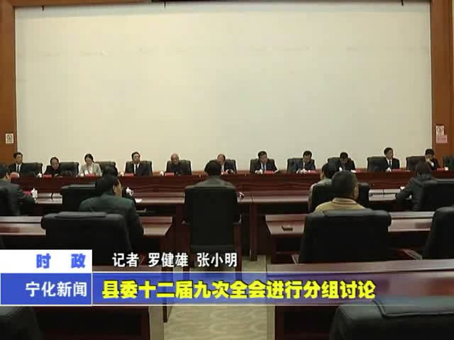 縣委十二屆九次全會進行分組討論